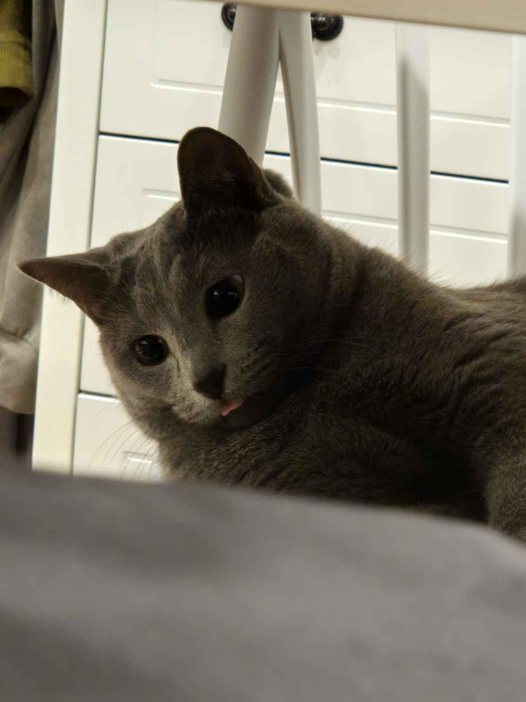 blep.